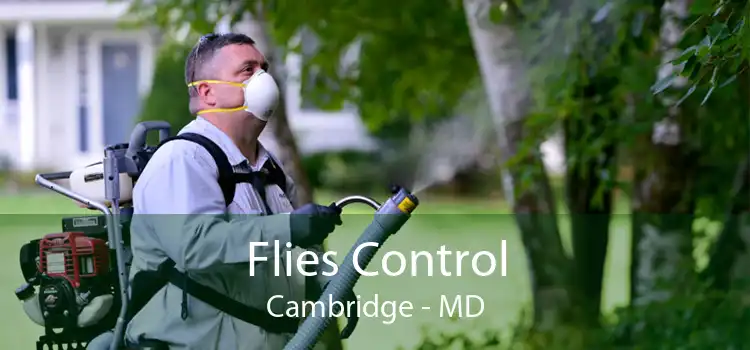 Flies Control Cambridge - MD