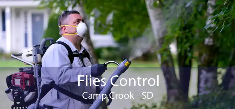 Flies Control Camp Crook - SD