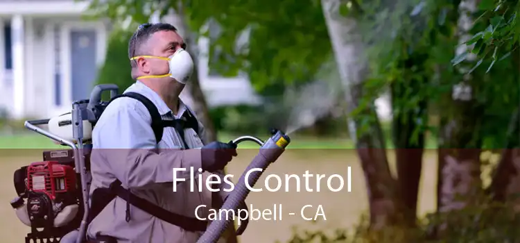 Flies Control Campbell - CA