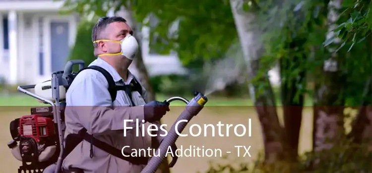 Flies Control Cantu Addition - TX