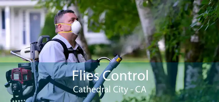 Flies Control Cathedral City - CA