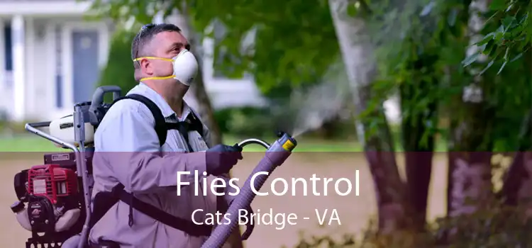 Flies Control Cats Bridge - VA