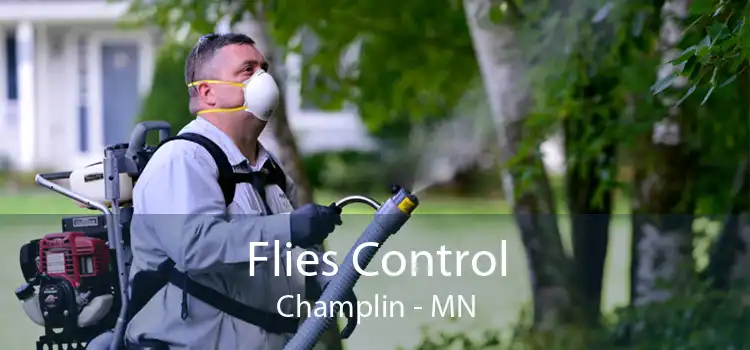 Flies Control Champlin - MN