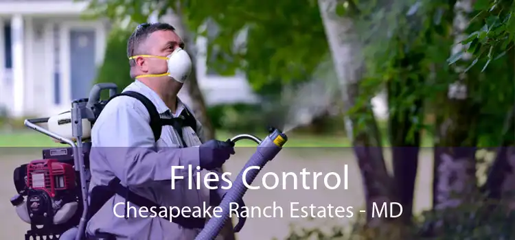 Flies Control Chesapeake Ranch Estates - MD