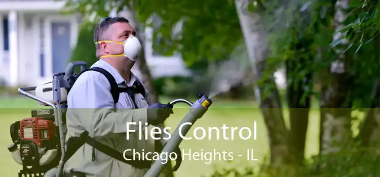 Flies Control Chicago Heights - IL