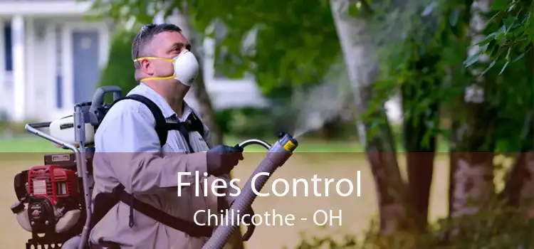 Flies Control Chillicothe - OH
