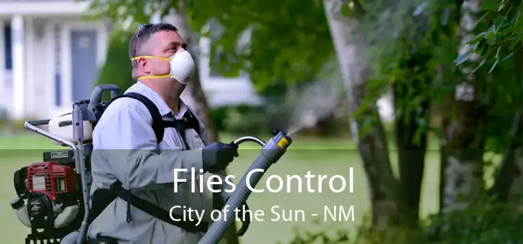 Flies Control City of the Sun - NM