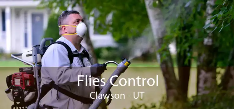 Flies Control Clawson - UT