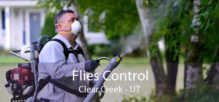 Flies Control Clear Creek - UT