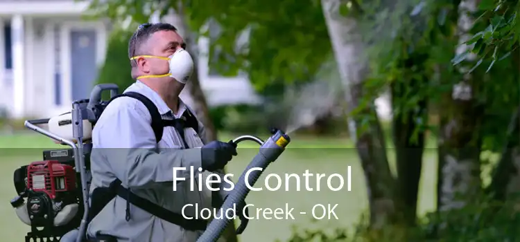 Flies Control Cloud Creek - OK