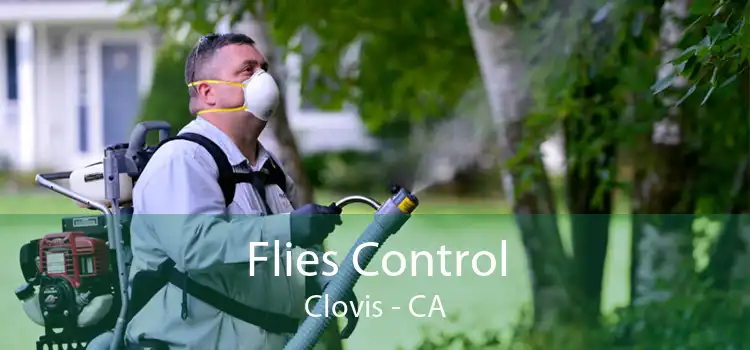 Flies Control Clovis - CA