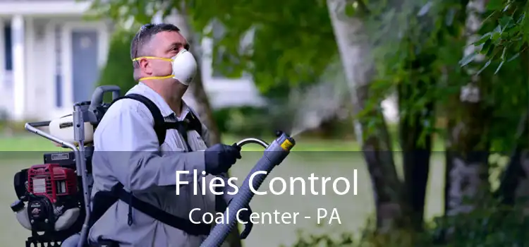 Flies Control Coal Center - PA