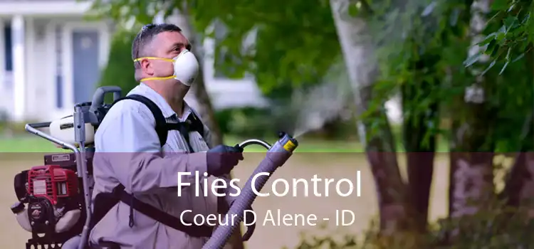 Flies Control Coeur D Alene - ID