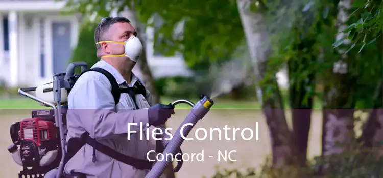 Flies Control Concord - NC