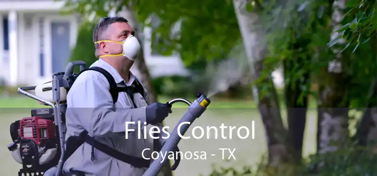 Flies Control Coyanosa - TX