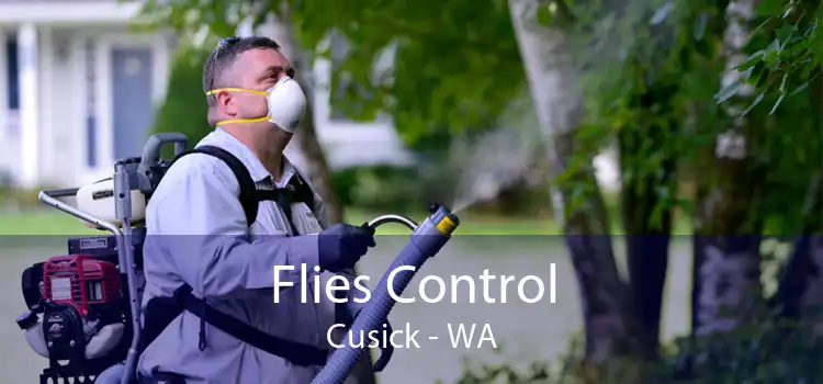 Flies Control Cusick - WA