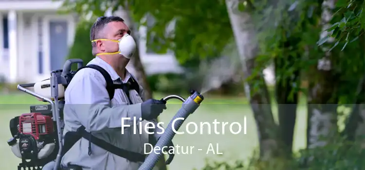 Flies Control Decatur - AL