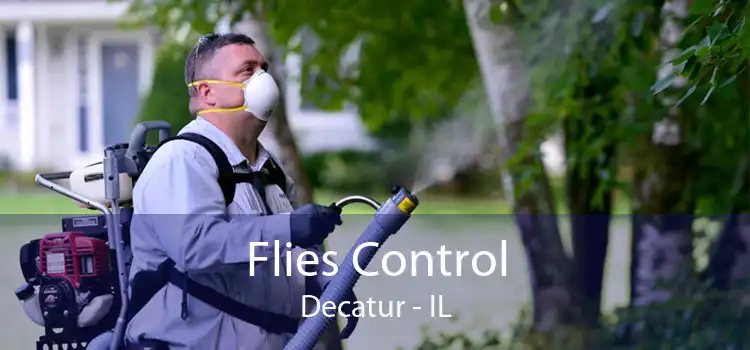 Flies Control Decatur - IL
