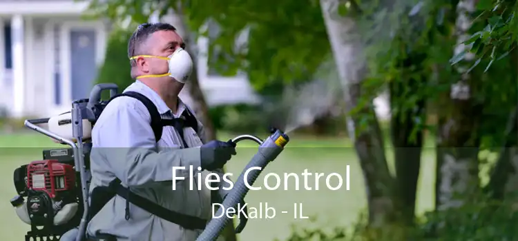 Flies Control DeKalb - IL