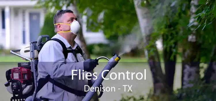 Flies Control Denison - TX