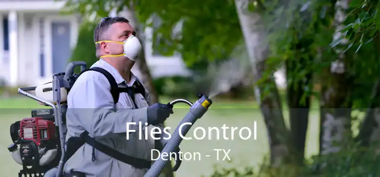 Flies Control Denton - TX