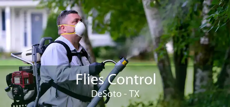 Flies Control DeSoto - TX