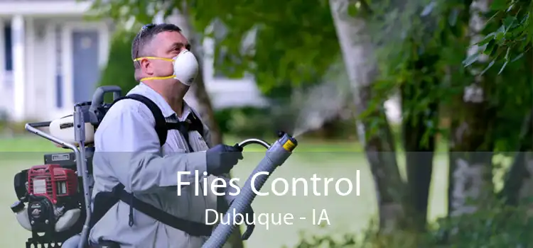 Flies Control Dubuque - IA