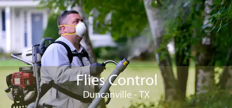Flies Control Duncanville - TX