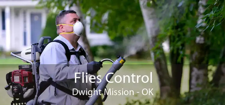 Flies Control Dwight Mission - OK