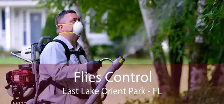 Flies Control East Lake Orient Park - FL