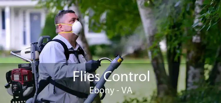 Flies Control Ebony - VA
