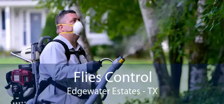 Flies Control Edgewater Estates - TX