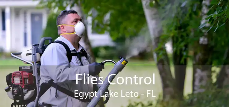 Flies Control Egypt Lake Leto - FL