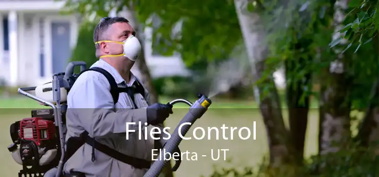 Flies Control Elberta - UT