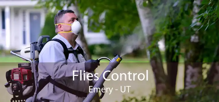 Flies Control Emery - UT