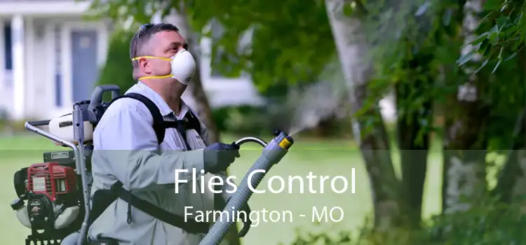 Flies Control Farmington - MO