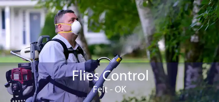 Flies Control Felt - OK