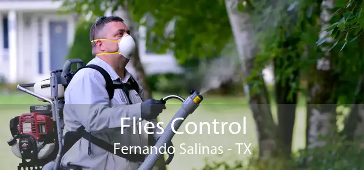 Flies Control Fernando Salinas - TX