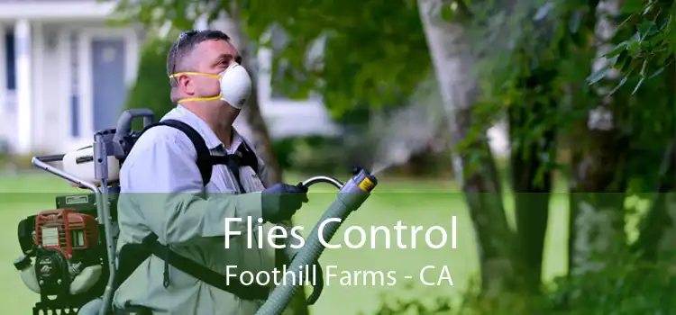 Flies Control Foothill Farms - CA