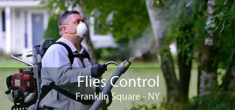 Flies Control Franklin Square - NY
