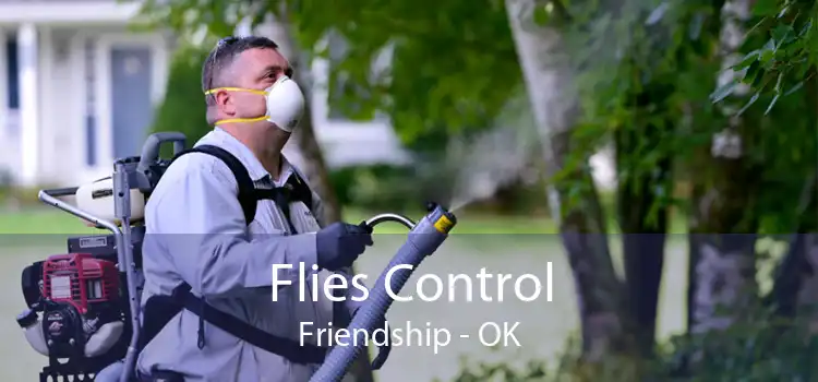 Flies Control Friendship - OK