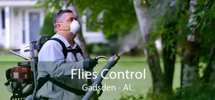 Flies Control Gadsden - AL