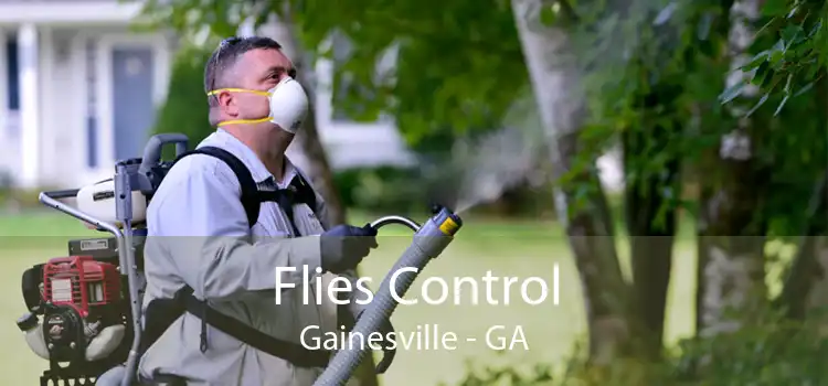 Flies Control Gainesville - GA