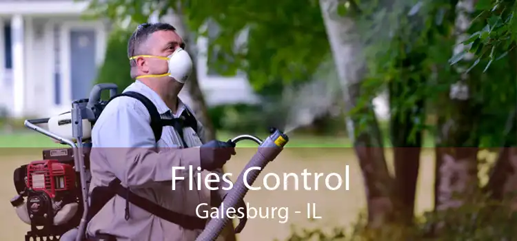 Flies Control Galesburg - IL