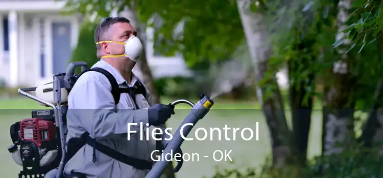 Flies Control Gideon - OK