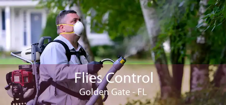 Flies Control Golden Gate - FL
