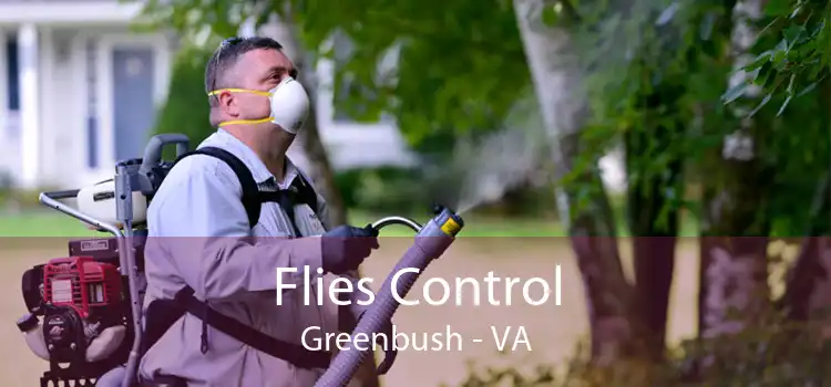 Flies Control Greenbush - VA