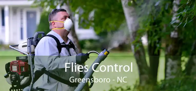 Flies Control Greensboro - NC