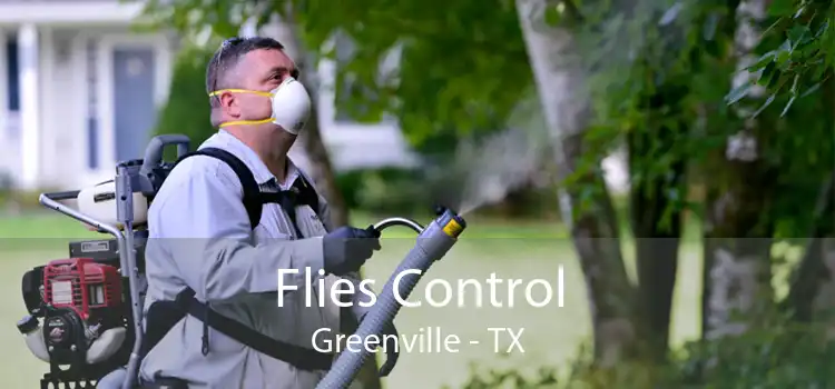 Flies Control Greenville - TX