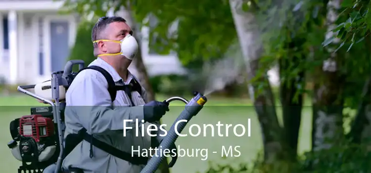 Flies Control Hattiesburg - MS
